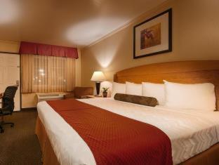 Western Airport & Convention Center Hotel 3*